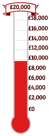 Donations thermometer with £9,678